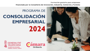 PROGRAMA CONSOLIDACION EMPRESARIAL