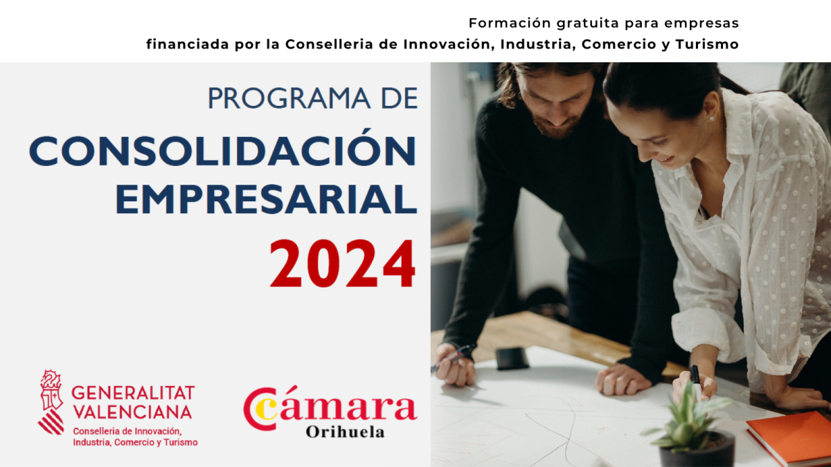 PROGRAMA CONSOLIDACION EMPRESARIAL