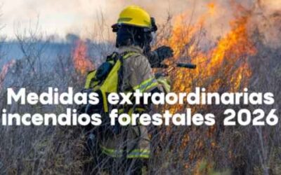 Qué hacer si este verano un incendio afecta a tu actividad o plantilla